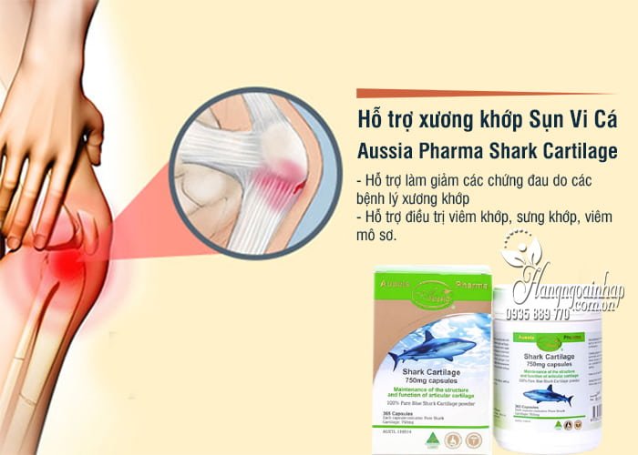 Hỗ trợ xương khớp Sụn Vi Cá Aussia Pharma Shark Cartilage 750mg 365 Viên 3 75b4a95eb6854e80f055594e7501e70b