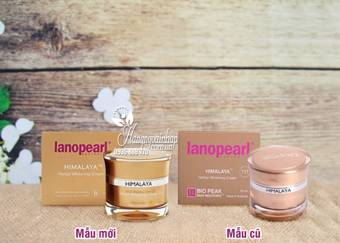 979059f610b93c4752c6bbb3b6fa1f4d