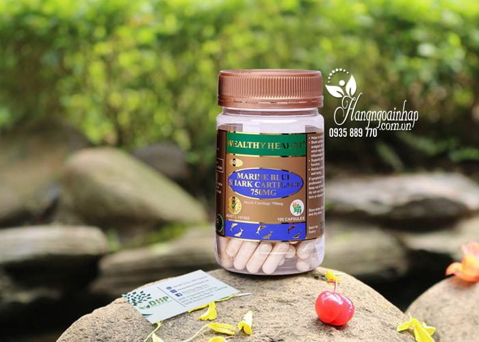 Hỗ trợ xương khớp Viên sụn cá mập xanh Wealthy Health Marine Blue Shark 2 Viên sụn cá mập xanh Wealthy Health Marine Blue Shark 4