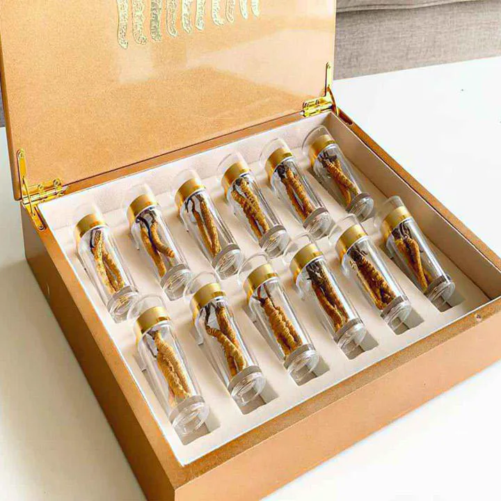 Đông Trùng Hạ Thảo Na Khúc Tây Tạng VIP - 10g (Size 40) 7 Đông Trùng Hạ Thảo Na Khúc Tây Tạng VIP - 10g (Size 40) 2