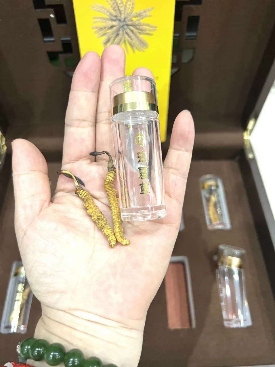 Đông Trùng Hạ Thảo Na Khúc Tây Tạng VIP - 10g (Size 40) 8 Đông Trùng Hạ Thảo Na Khúc Tây Tạng VIP - 10g (Size 40) 3