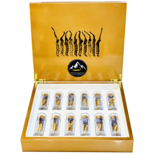 Đông Trùng Hạ Thảo Na Khúc Tây Tạng VIP - 10g (Size 40)