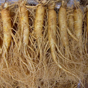 Nhân sâm tươi Hàn Quốc loại 10 củ 1 kg 