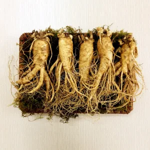 Nhân sâm tươi Hàn Quốc loại 5 củ 1 kg 04