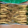 Nhân sâm tươi Hàn Quốc loại 20-40 củ 1 kg 1