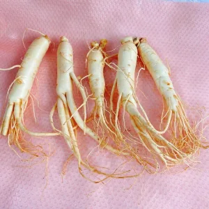 Hàng Ngoại Nhập 62 Alternative view of Nhân sâm tươi Hàn Quốc loại 20-40 củ 1 kg